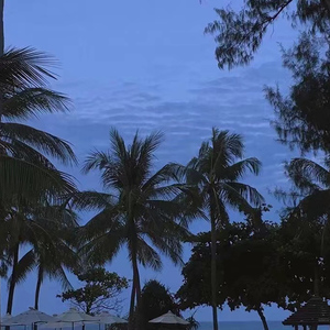 我的大乳被民工们揉搓玩弄漫画
